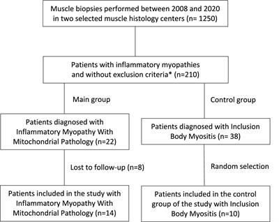 Whole-body muscle magnetic resonance imaging in inflammatory myopathy with mitochondrial pathology